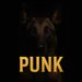 ITzPunkRs