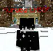 lmncatt