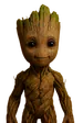 SELX_Grootis