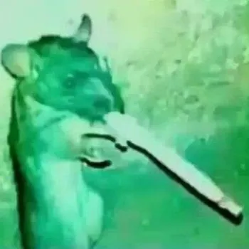 ramnncn