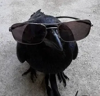 Corvilen