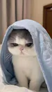 lilithvlr