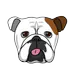 NaughtyBulldogs