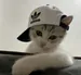 lltrixx