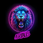 Aerialls Kick