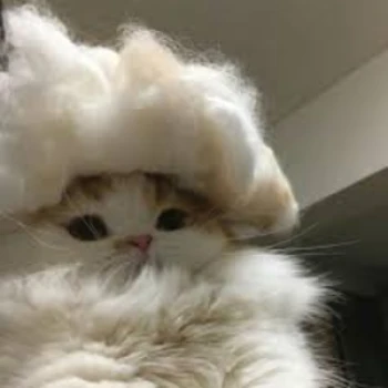 yepaw