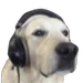 Kirayorself