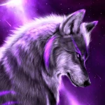a1exxpro Offline Background