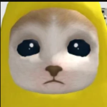 ferchobz