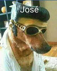 JOSEECAIMI