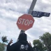 Wittinthehood