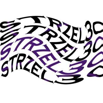 Strzel3c