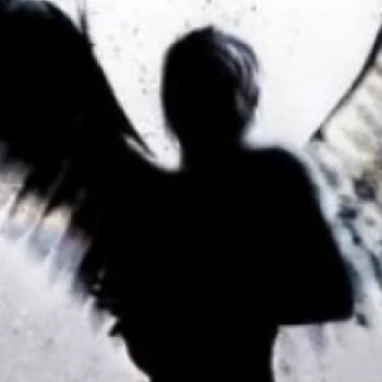Mittymoon