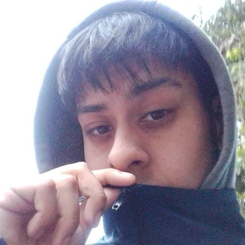Diendog