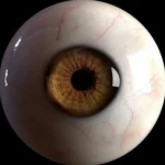 hoova88 profile picture