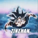 iZINE