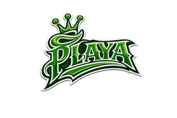 PlayaChannel