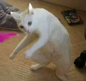 SpektraL2