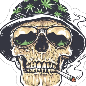 Kick Profile Pic