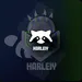 Harleiy_Vt