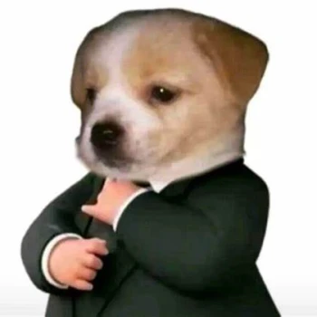 Gambito_JF