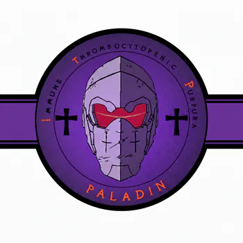 ITP_Paladin