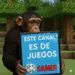 panchoez