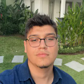 Streamer PFP