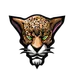 lapajaguara93