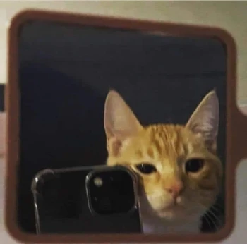 Kick Profile Pic