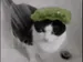 Drogat_e