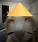 yocatata