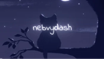 nebvydash