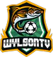Wylsontv