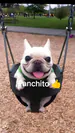 panchito123971