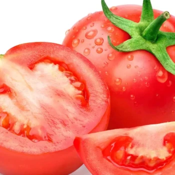 Kick profile picture for @tomatoes
