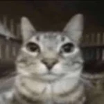 blazej66