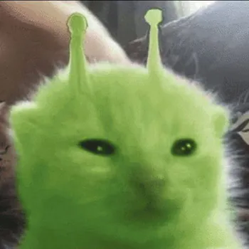 aranlizgc