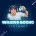 wilking_gocho