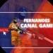 MFernandess