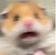 CRAUZZER