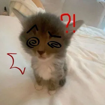 fran_novato