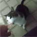 sahumeri0
