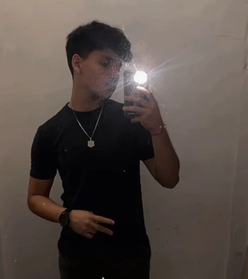 Andresulloa