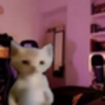 GatoxTv