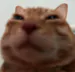 Urekito