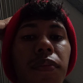 Davesitto
