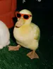 ItsNav