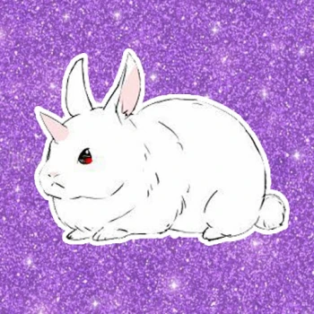 conejotako