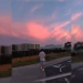 aarnaau_14